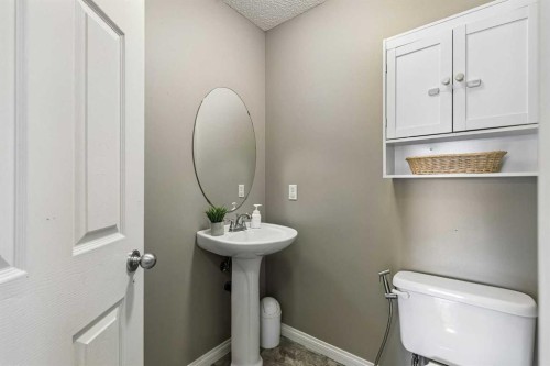 10-117 Bow Ridge Drive, Cochrane, AB - Indoor Photo Showing Bathroom