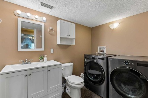 10-117 Bow Ridge Drive, Cochrane, AB - Indoor Photo Showing Laundry Room
