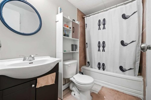40 Penworth Place Se, Calgary, AB - Indoor Photo Showing Bathroom