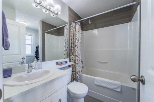 1207 Jumping Pound Common, Cochrane, AB - Indoor Photo Showing Bathroom