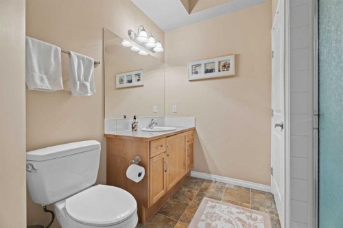 215-43 Sunrise Loop Se, High River, AB - Indoor Photo Showing Bathroom