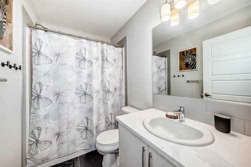 128-31 Red Embers Parade Ne, Calgary, AB - Indoor Photo Showing Bathroom
