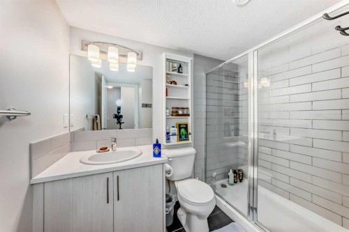 128-31 Red Embers Parade Ne, Calgary, AB - Indoor Photo Showing Bathroom