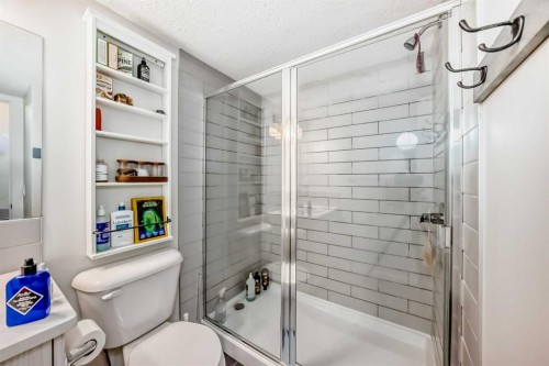 128-31 Red Embers Parade Ne, Calgary, AB - Indoor Photo Showing Bathroom