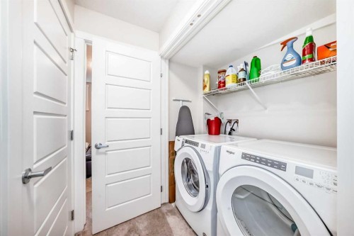 128-31 Red Embers Parade Ne, Calgary, AB - Indoor Photo Showing Laundry Room