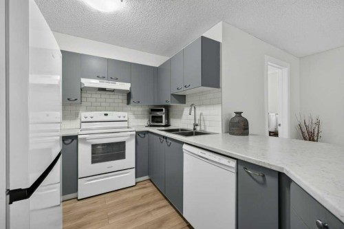 2207-12 Cimarron Common, Okotoks, AB - Indoor Photo Showing Kitchen With Double Sink