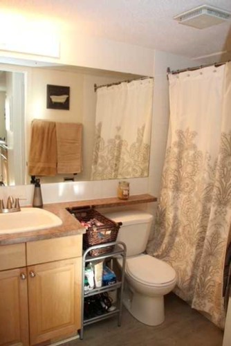 202-626 2 Avenue Ne, Calgary, AB - Indoor Photo Showing Bathroom