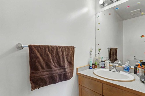 311 Erin Circle Se, Calgary, AB - Indoor Photo Showing Bathroom