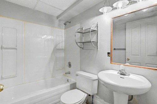 311 Erin Circle Se, Calgary, AB - Indoor Photo Showing Bathroom