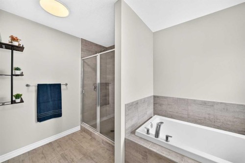 82 Nolanhurst Rise Nw, Calgary, AB - Indoor Photo Showing Bathroom