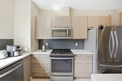 904-218 Sherwood Square Nw, Calgary, AB - Indoor Photo Showing Kitchen With Stainless Steel Kitchen With Upgraded Kitchen
