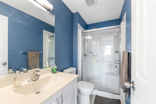 472 Regal Park Ne, Calgary, AB - Indoor Photo Showing Bathroom
