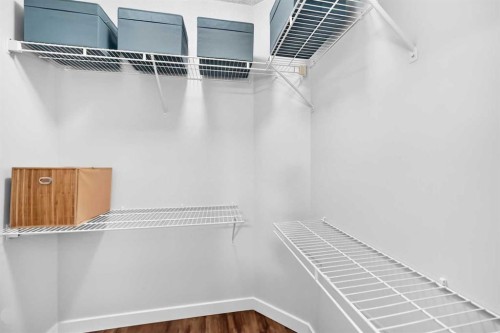 144 Riverstone Crescent Se, Calgary, AB - Indoor With Storage