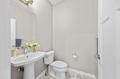 27 Mahogany Crescent Se, Calgary, AB - Indoor Photo Showing Bathroom