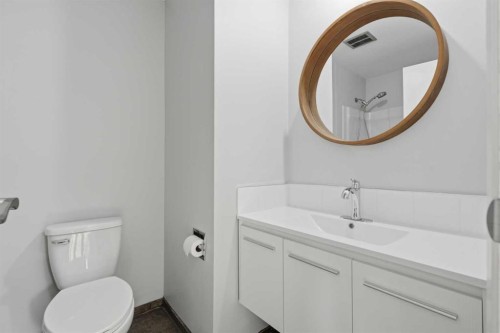 731 Queensland Drive Se, Calgary, AB - Indoor Photo Showing Bathroom