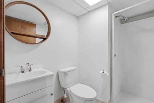 731 Queensland Drive Se, Calgary, AB - Indoor Photo Showing Bathroom