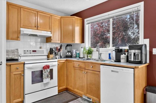 155 Tarington Green Ne, Calgary, AB - Indoor Photo Showing Kitchen With Double Sink