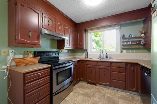 6507 Rundlehorn Drive Ne, Calgary, AB - Indoor Photo Showing Kitchen With Double Sink
