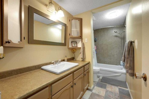 6507 Rundlehorn Drive Ne, Calgary, AB - Indoor Photo Showing Bathroom