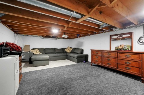 6507 Rundlehorn Drive Ne, Calgary, AB - Indoor Photo Showing Basement