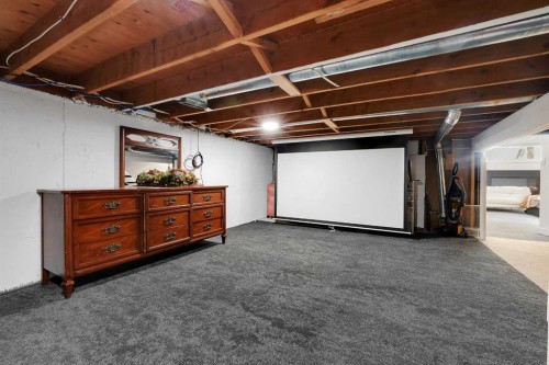 6507 Rundlehorn Drive Ne, Calgary, AB - Indoor Photo Showing Basement