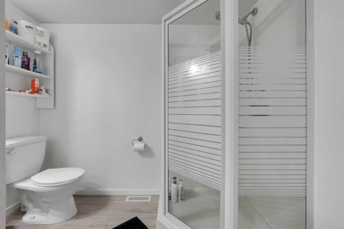 6507 Rundlehorn Drive Ne, Calgary, AB - Indoor Photo Showing Bathroom