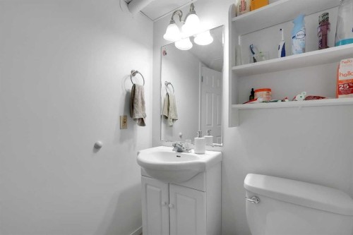 6507 Rundlehorn Drive Ne, Calgary, AB - Indoor Photo Showing Bathroom