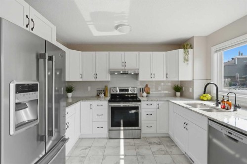 161 Douglasbank Way Se, Calgary, AB - Indoor Photo Showing Kitchen With Stainless Steel Kitchen With Double Sink