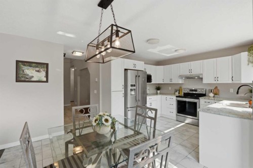 161 Douglasbank Way Se, Calgary, AB - Indoor