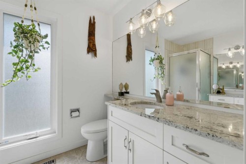 161 Douglasbank Way Se, Calgary, AB - Indoor Photo Showing Bathroom
