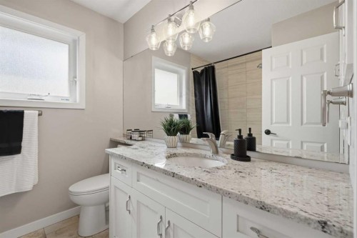 161 Douglasbank Way Se, Calgary, AB - Indoor Photo Showing Bathroom