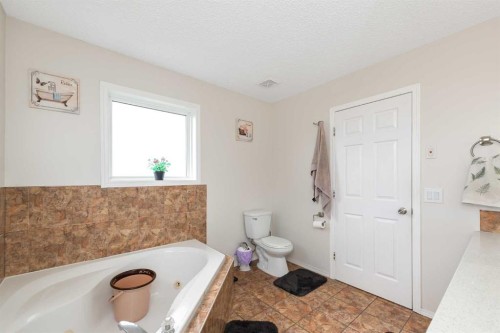 210 Taracove Landing Ne, Calgary, AB - Indoor Photo Showing Bathroom
