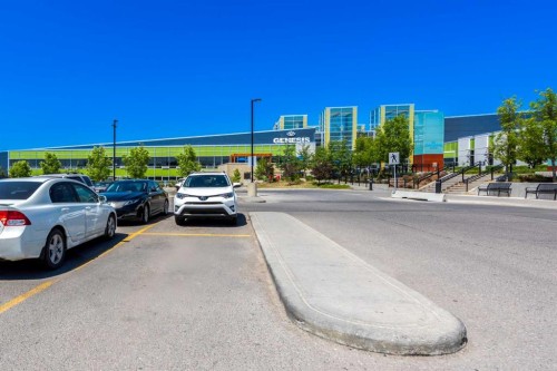 210 Taracove Landing Ne, Calgary, AB - Outdoor