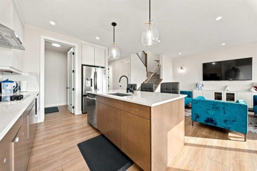 303 Cornerbrook Drive Ne, Calgary, AB - Indoor Photo Showing Kitchen With Upgraded Kitchen
