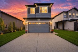 303 Cornerbrook Drive NE Calgary, AB T3N 2J3