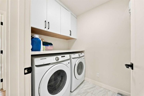 303 Cornerbrook Drive Ne, Calgary, AB - Indoor Photo Showing Laundry Room