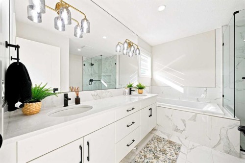303 Cornerbrook Drive Ne, Calgary, AB - Indoor Photo Showing Bathroom