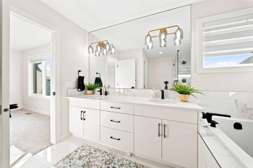303 Cornerbrook Drive Ne, Calgary, AB - Indoor Photo Showing Bathroom