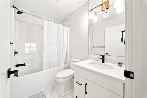 303 Cornerbrook Drive Ne, Calgary, AB - Indoor Photo Showing Bathroom