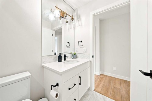 303 Cornerbrook Drive Ne, Calgary, AB - Indoor Photo Showing Bathroom