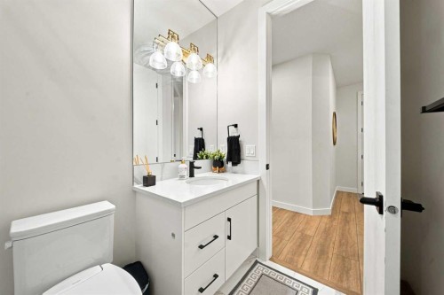 303 Cornerbrook Drive Ne, Calgary, AB - Indoor Photo Showing Bathroom