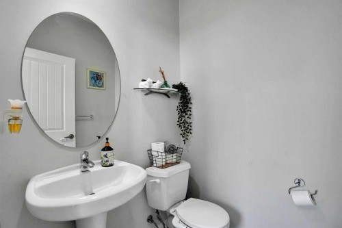 250 Canals Close Sw, Airdrie, AB - Indoor Photo Showing Bathroom