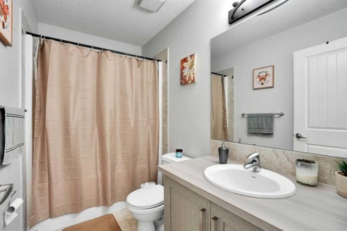 250 Canals Close Sw, Airdrie, AB - Indoor Photo Showing Bathroom