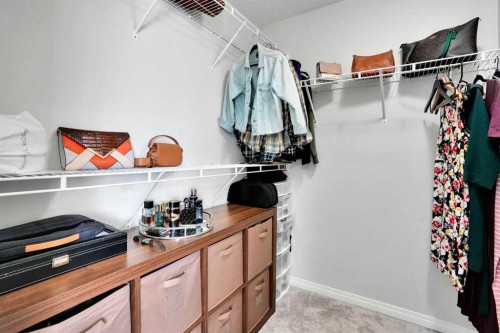 250 Canals Close Sw, Airdrie, AB - Indoor With Storage