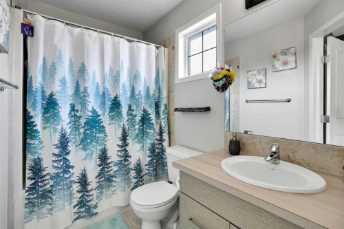 250 Canals Close Sw, Airdrie, AB - Indoor Photo Showing Bathroom