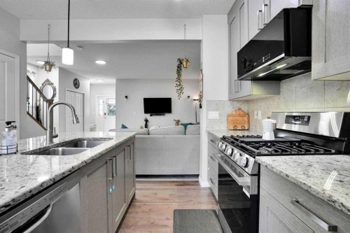 250 Canals Close Sw, Airdrie, AB - Indoor Photo Showing Kitchen With Double Sink With Upgraded Kitchen