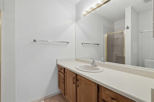 30 Sandarac Circle Nw, Calgary, AB - Indoor Photo Showing Bathroom