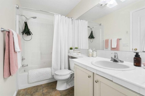 101-1997 Sirocco Drive Sw, Calgary, AB - Indoor Photo Showing Bathroom