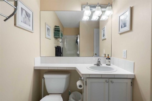 101-1997 Sirocco Drive Sw, Calgary, AB - Indoor Photo Showing Bathroom