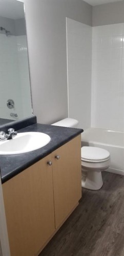 2105-2371 Eversyde Avenue Sw, Calgary, AB - Indoor Photo Showing Bathroom